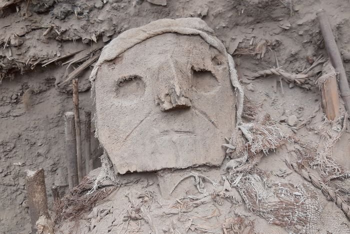 Polish archaeologists find over 70 ‘significant burial bundles’ in Peru