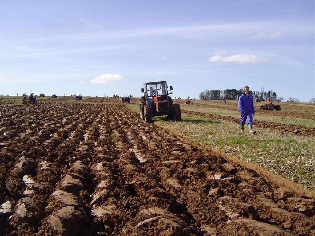 EU allocates two million KM to support investments in primary agricultural production