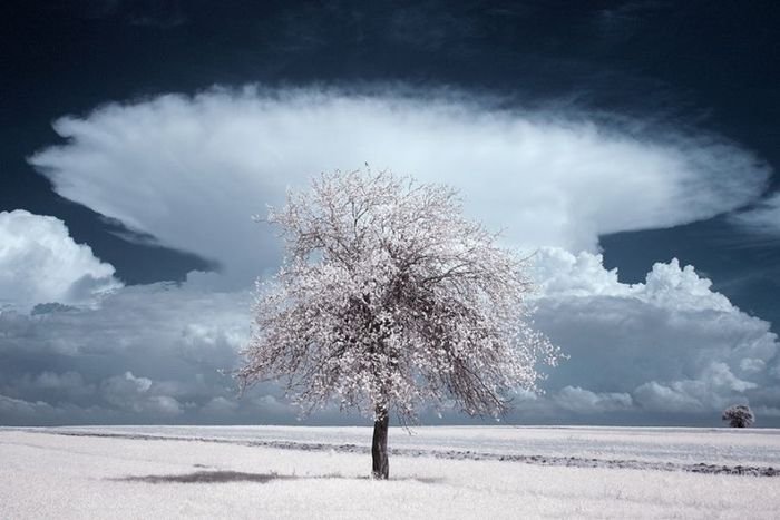 Picture this: Gorgeous photos reveal Polish landscapes in stunning infrared