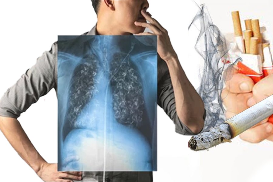 Minors with alcohol and tobacco in their hands, only two businesses have been fined during a year