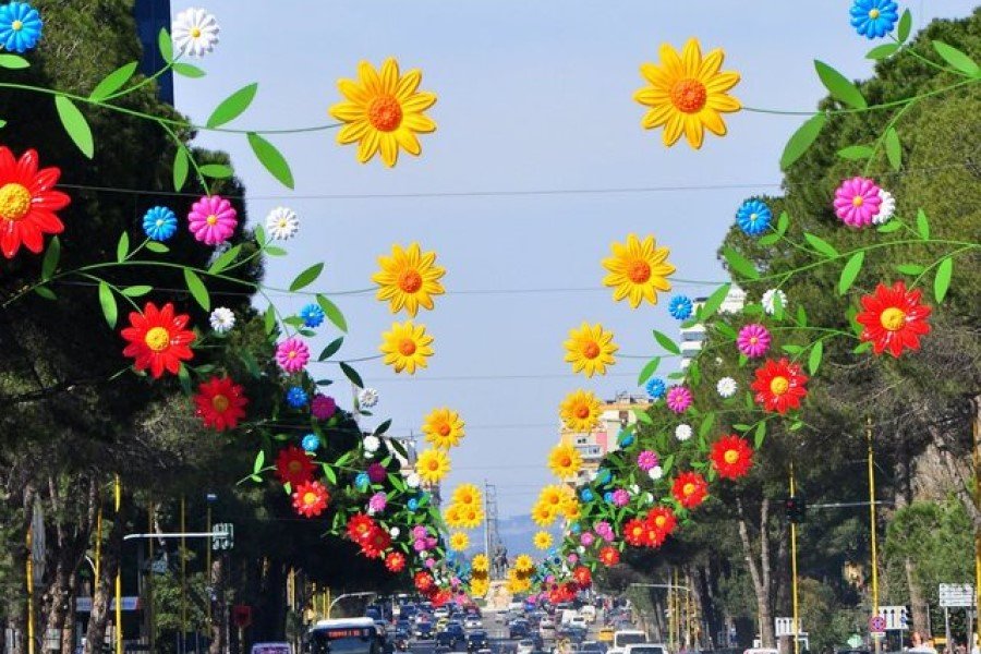 Today is Summer Day