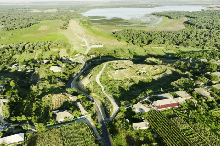 Moldovan president promulgated new Forestry Code