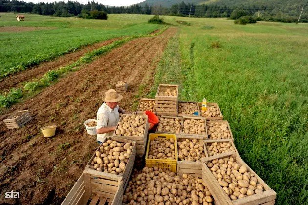 Parties at odds on green transition measures as they affect food production