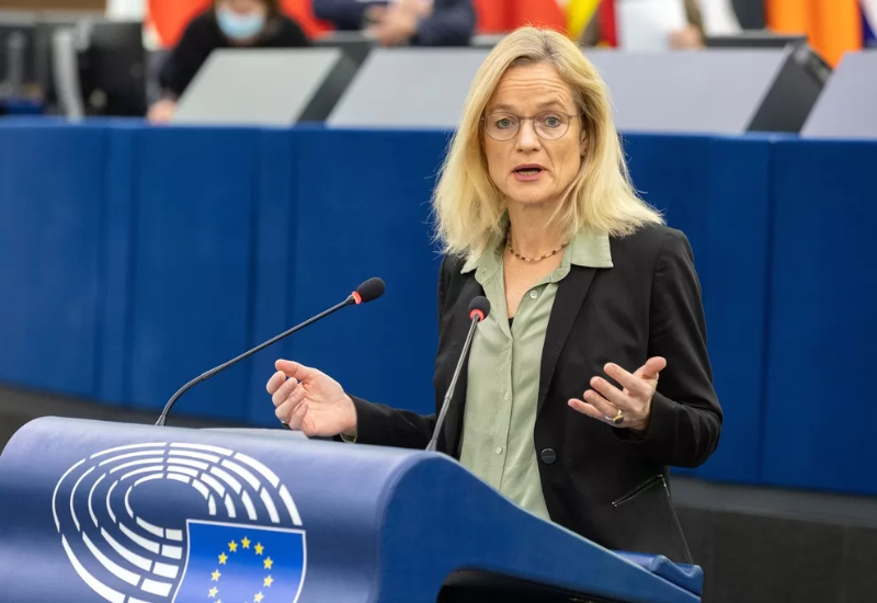 EU's rapporteur questions integrity of Georgia's elections