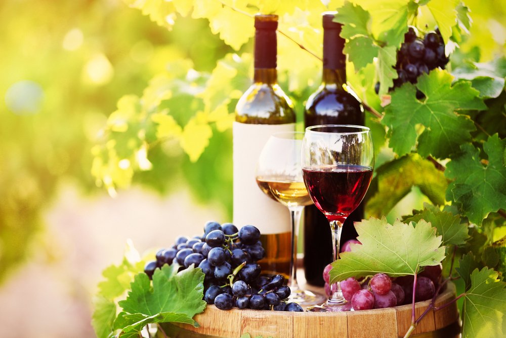 Moldovan wines: national symbol of heritage and excellence