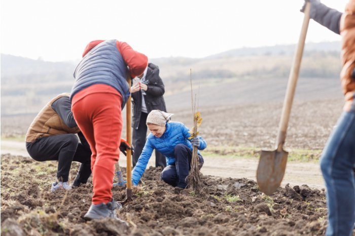 Moldovan president plans trees along with hundreds of volunteers in Bacioi commune