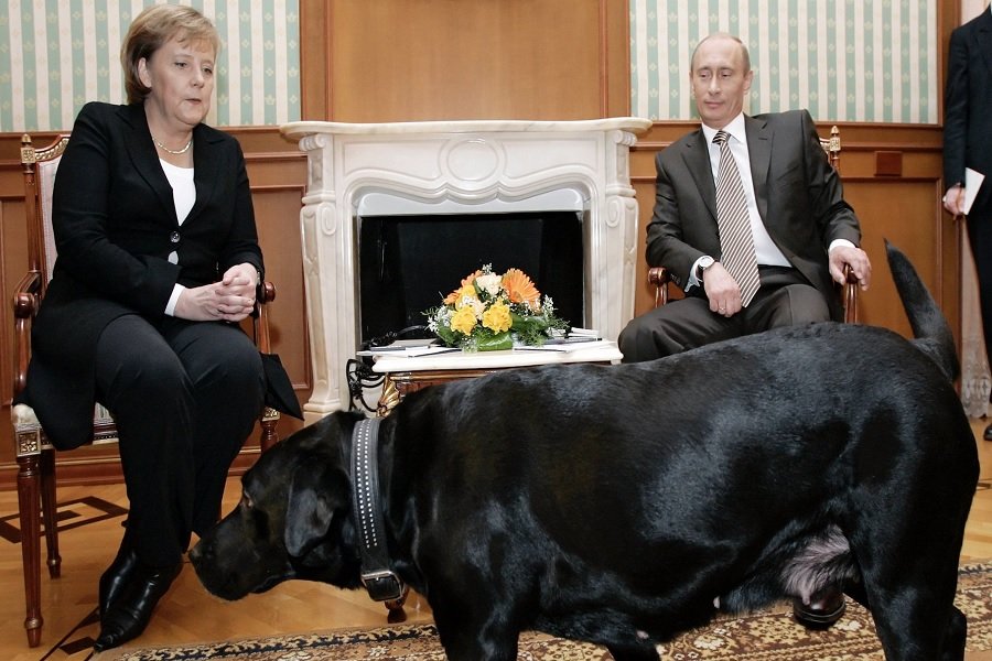 Putin apologizes to Merkel after 17 years