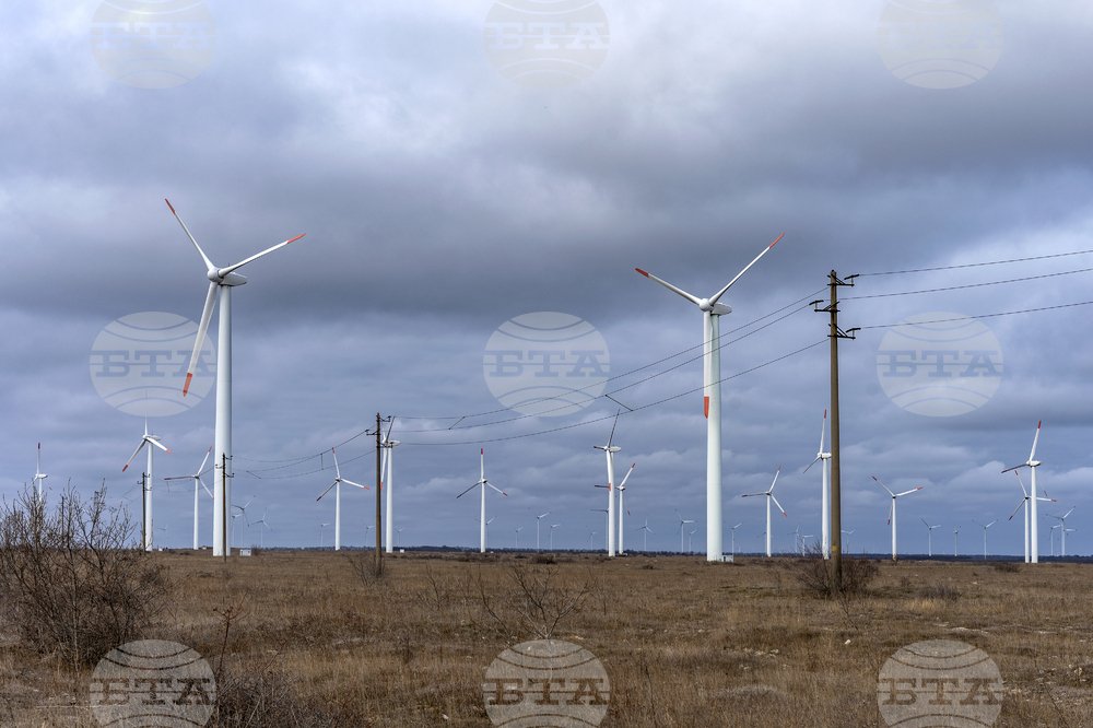 EU Renewable Energy Share Rises in 2024