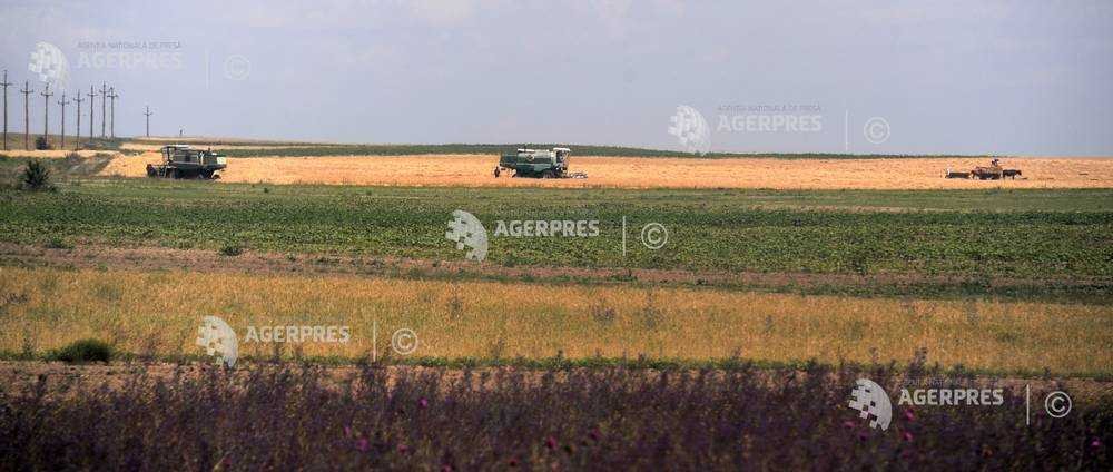 Romania Tops EU in Farm Workforce