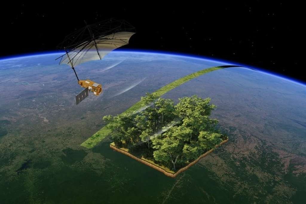 Europe sends satellite to measure global biomass