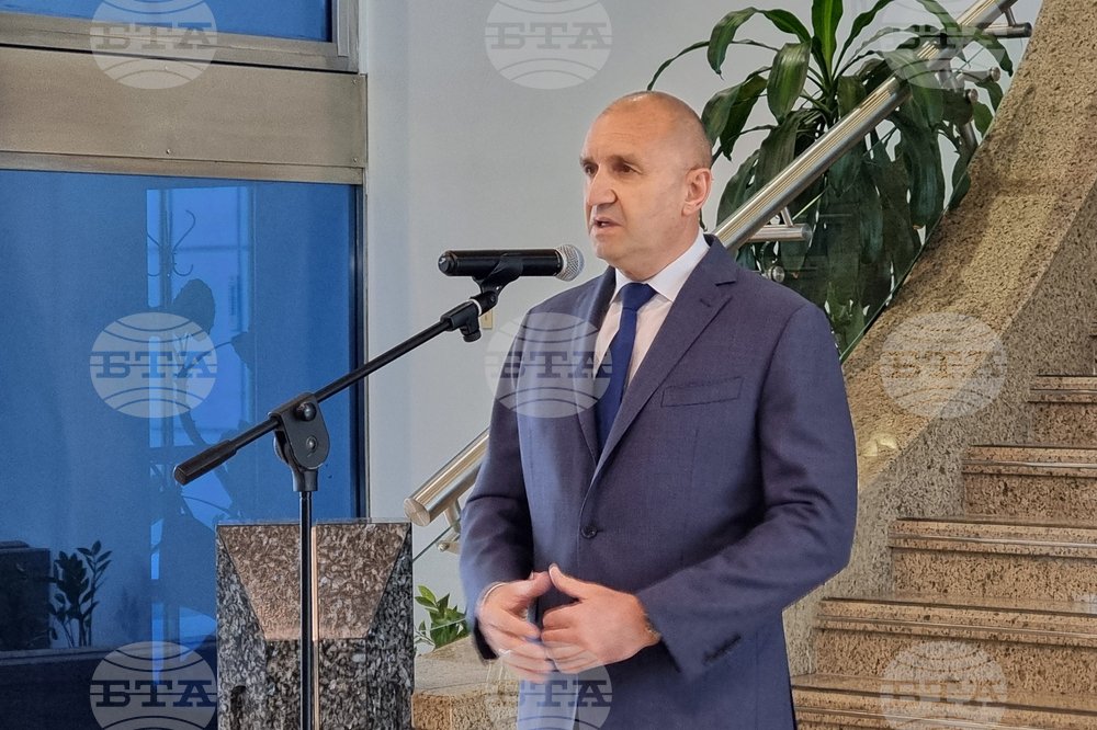 Radev Challenges Euro Referendum Block in Court