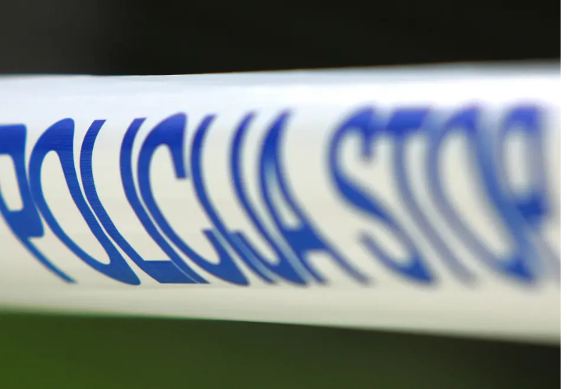 Woman dies in vicious dog attack