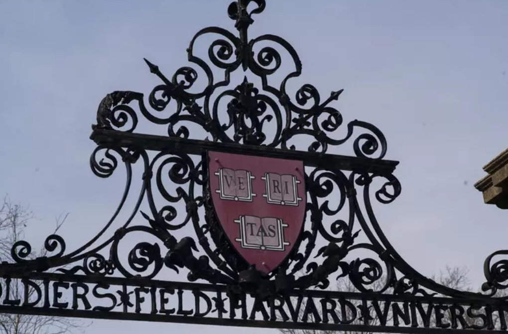 U.S. Orders Social Media Checks on Harvard Visa Applicants