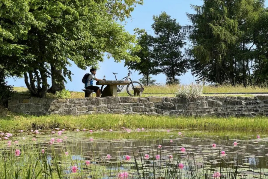 New cycling route to connect Italy, Slovenia, Croatia