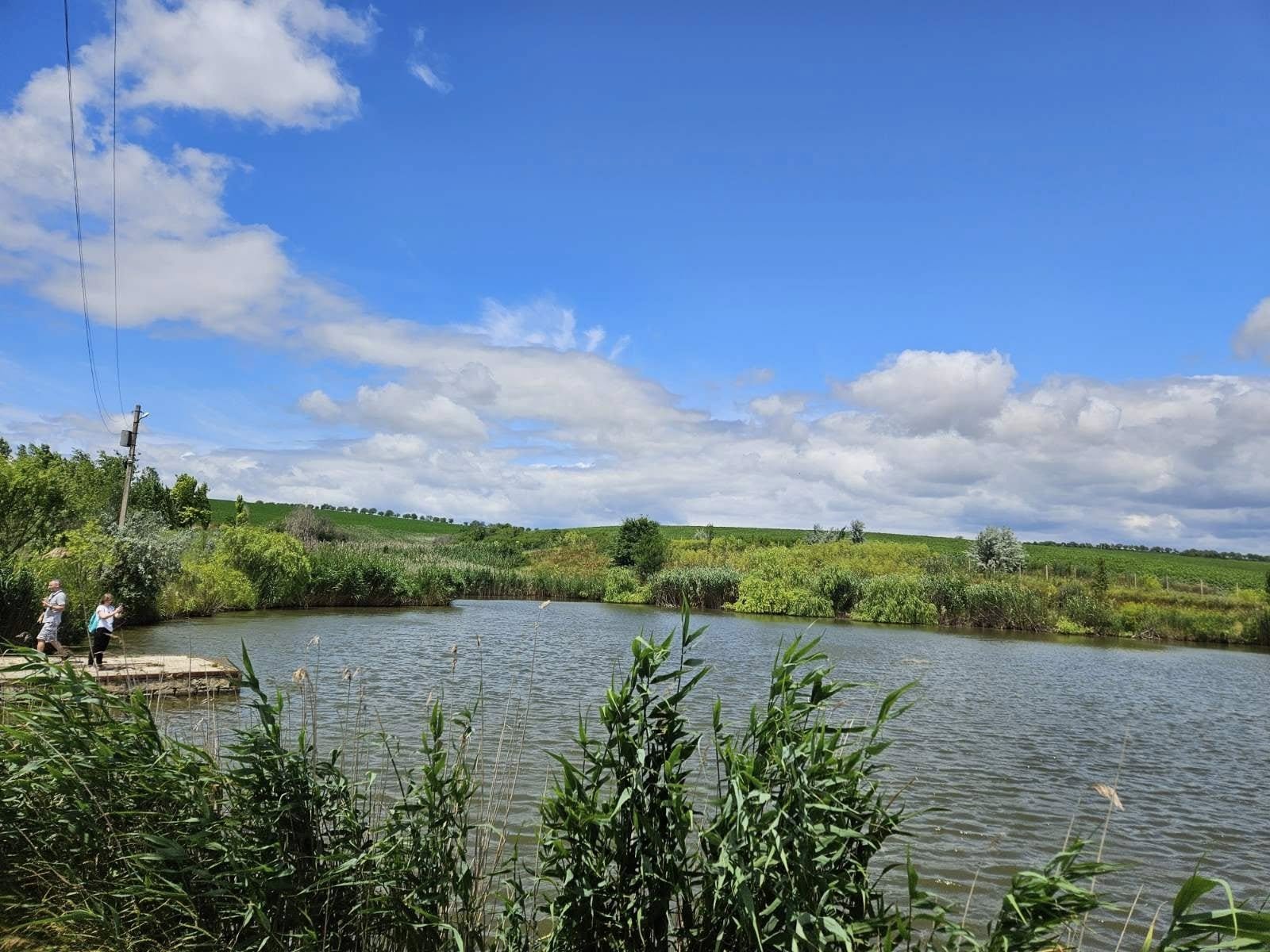 Poem of the Poplars: Rural Charm in Ungheni