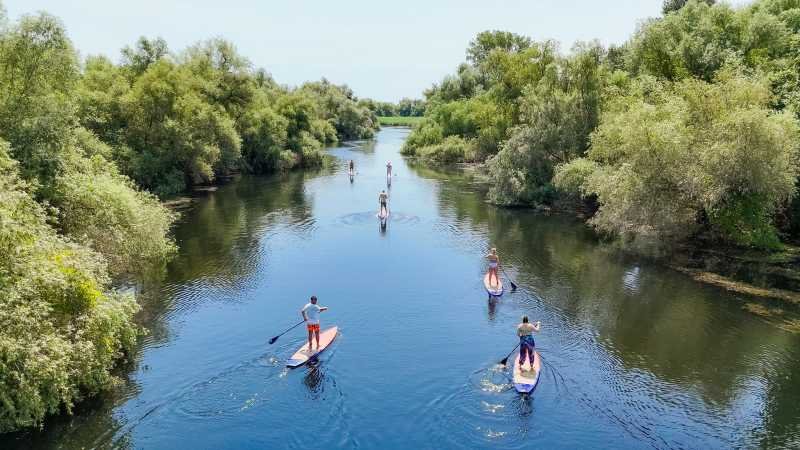 SUP Tours in Danube Delta