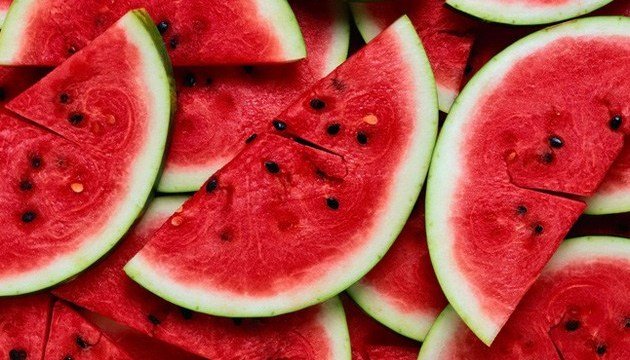 Ukraine’s Kherson Region Begins 2025 Harvest Season