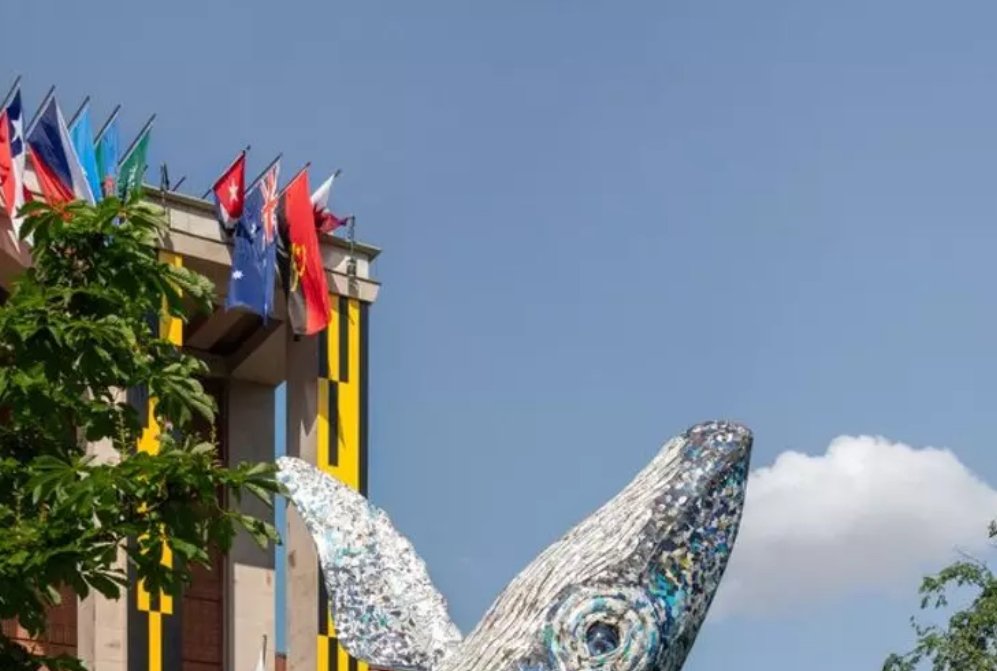 Iconic Whale Installation at Triennale Milano Set on Fire