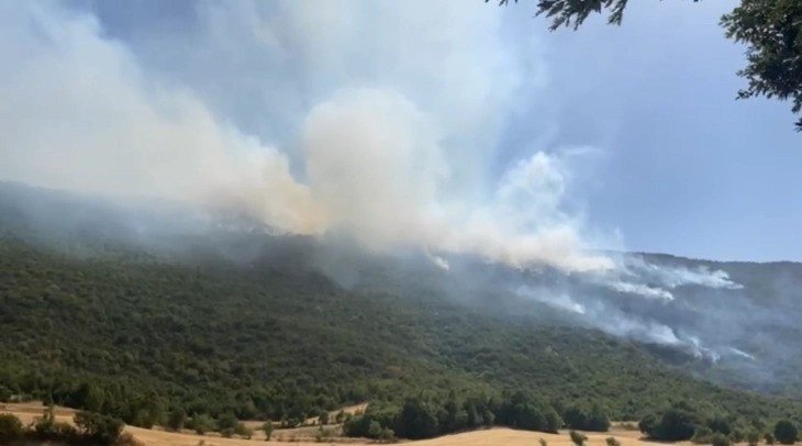 North Macedonia battles Cerovo blaze with air tractor planes