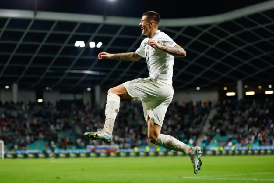 Slovenian football star goes to Manchester United