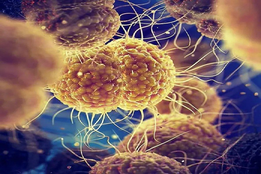 AI creates promising antibiotics to fight gonorrhea and MRSA