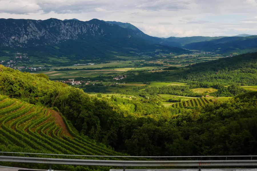 Slovenia’s Wine Train Nearing Full Booking for 2025 Season
