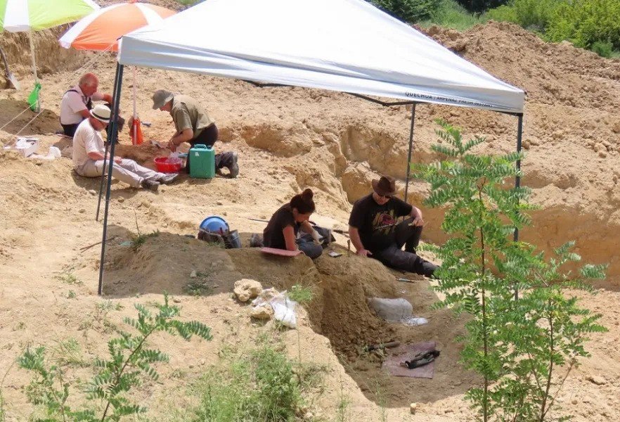 Late Miocene Hominid Fossils Under Study in Bulgaria and North Macedonia