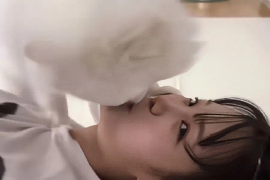 Le Sserafim Star Shares Intimate Clip With Pet