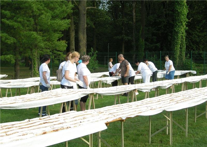 Croatia's Štrudlafest breaks Guinness Record