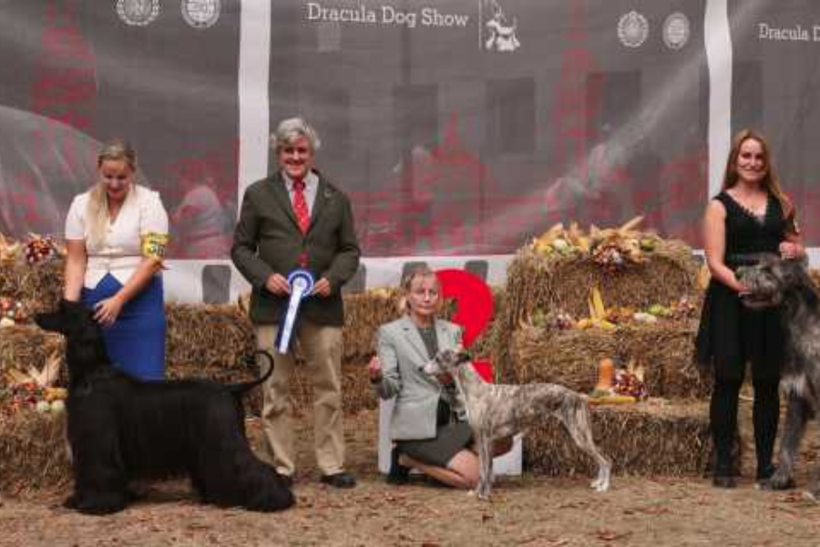European dog event kicks off in Romania