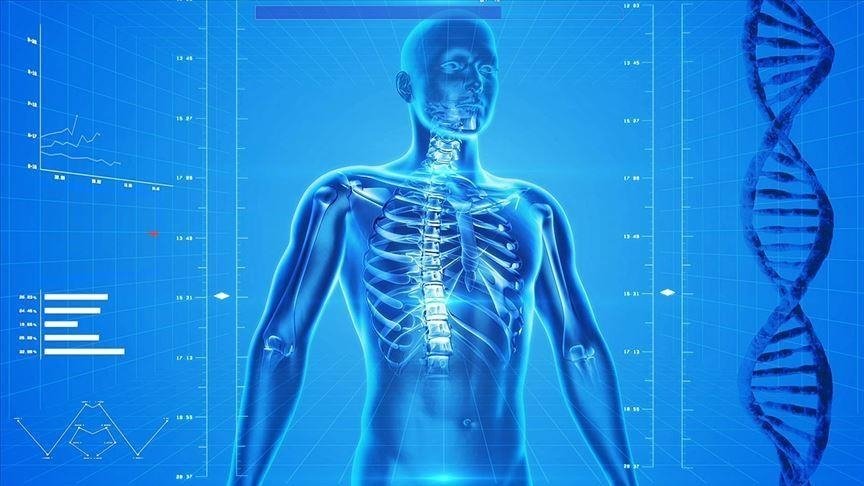 New AI model predicts cancer, skin, immune disorders before symptoms