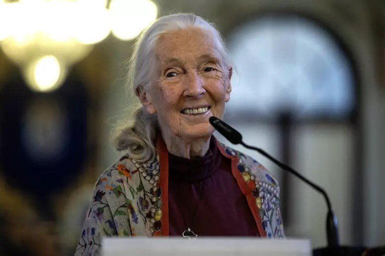 Legendary primatologist passed away