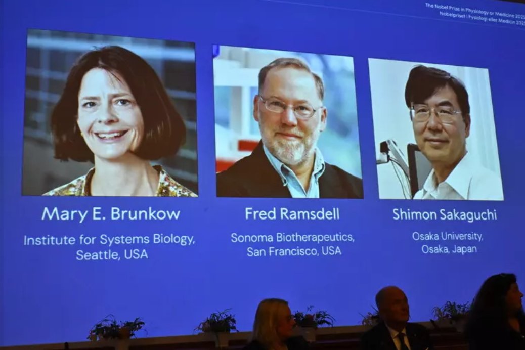 2025 Nobel laureates in Medicine revealed