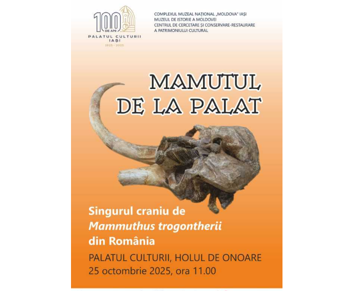 Romania exhibits rare Middle Pleistocene Mammuthus skull