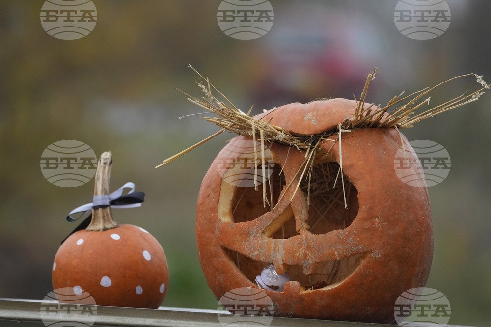 Halloween spending in Vienna hits record