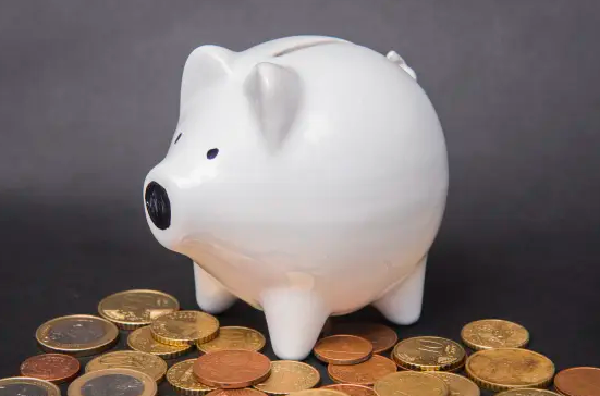 Slovenia sees strong household savings and asset growth