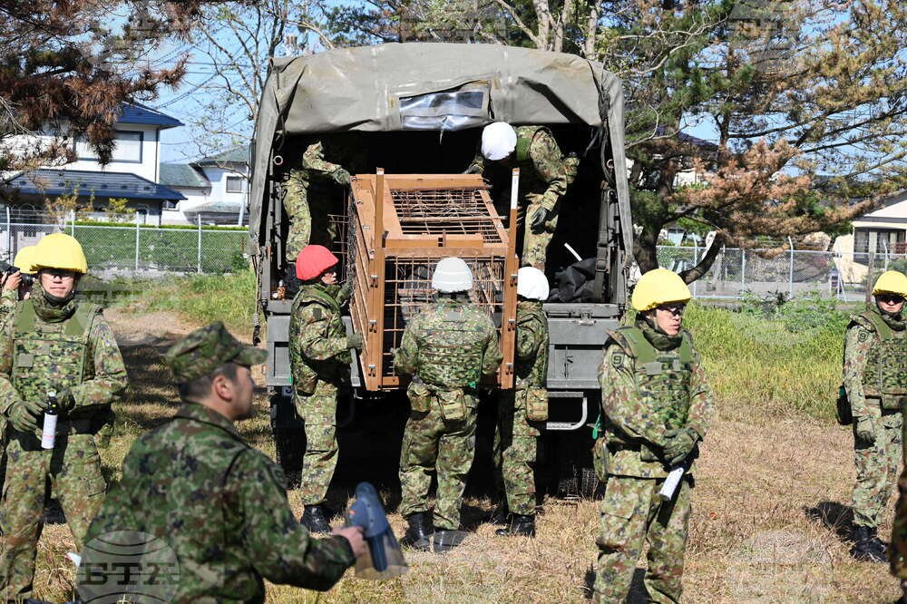 Japan deploys troops to tackle record bear attacks