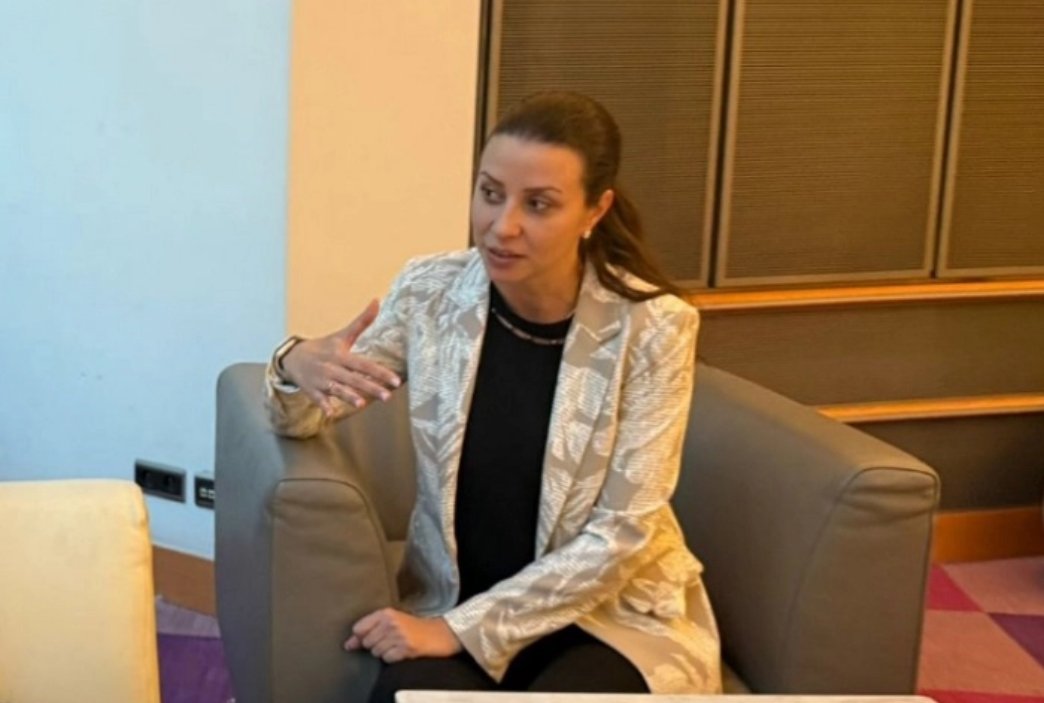 Slovenian MEP defends North Macedonia’s EU progress