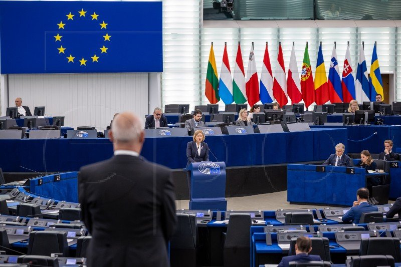 European Parliament marks 1,100 years of Croatian kingdom