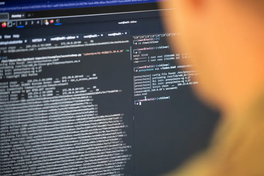 Data breach hits nearly half of Slovenia’s population