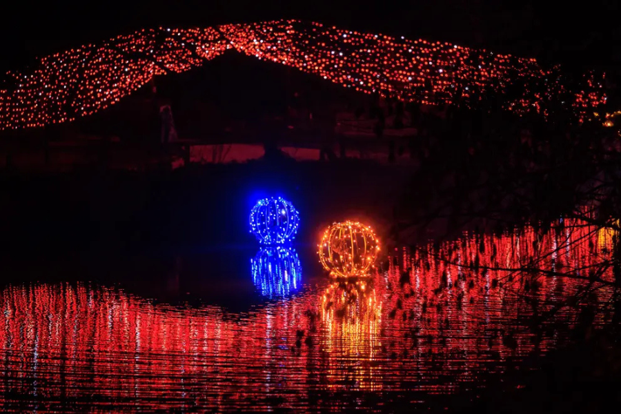 Slovenia’s iconic Arboretum lights up with millions of lights