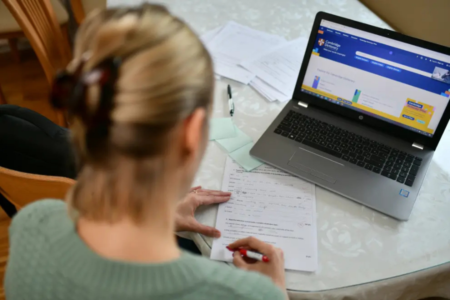 Slovenia joins EU nations welcoming digital nomads