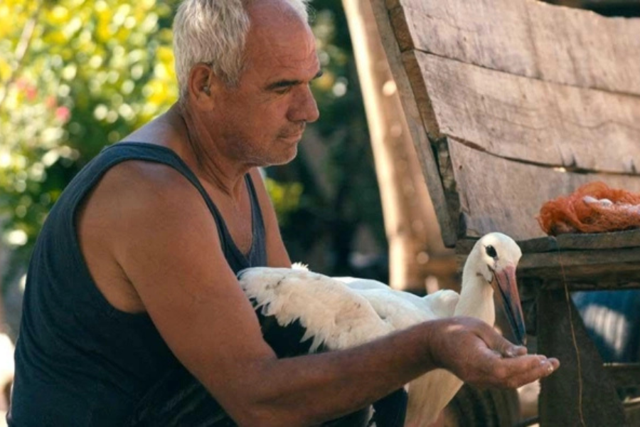 North Macedonia’s “The Tale of Silyan” wins two major IDA awards