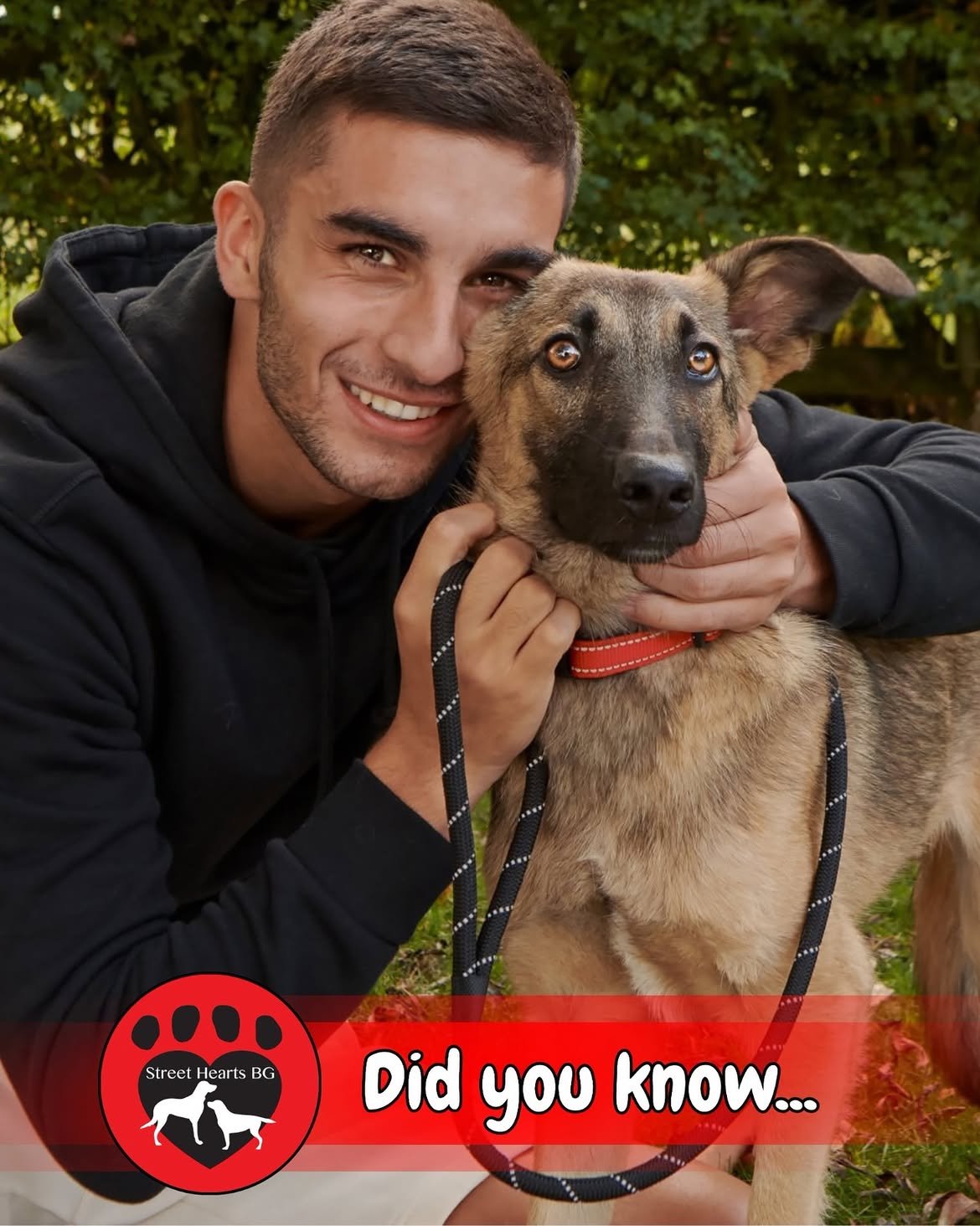 Spain World Cup hero adopted rescue dog from Bulgarian shelter